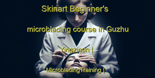 Skinart Beginner's microblading course in Guzhu Yingzicun | MicrobladingTraining | MicrobladingClasses | SkinartTraining-China